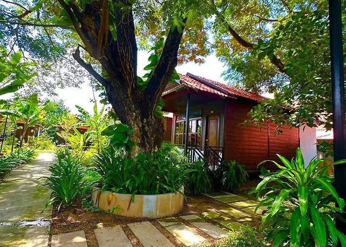 Densy Siem Reap